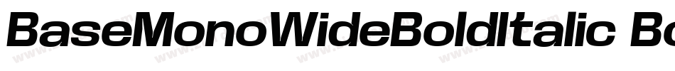 BaseMonoWideBoldItalic Bold Italic字体转换